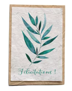 Bloeikaart - Félicitations Bloeikaart - Félicitations