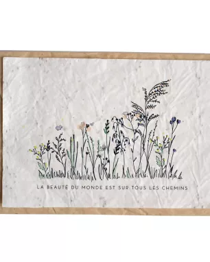 Growing paper – Carte ensemencée – My Lovely Thing – Chemin