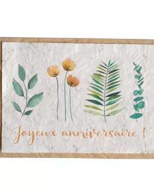 Growing paper – Carte ensemencée –  Joyeux anniversaire