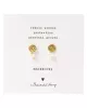 Mini Coin Moonstone Gold Earrings