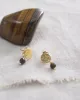 Mini Coin Tiger Eye Gold Earrings