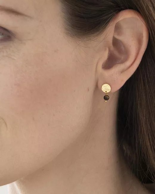 Mini Coin Tiger Eye Gold Earrings