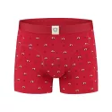 Boxershorts RAY