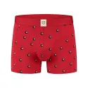 Boxer Shorts TEDDY