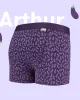 Boxer Shorts ARTHUR