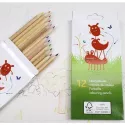 Crayons de couleurs en bois naturel FSC 100%