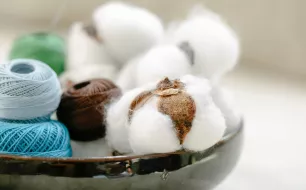 Quelle matière écologique choisir pour un vêtement vraiment éco-responsable ?